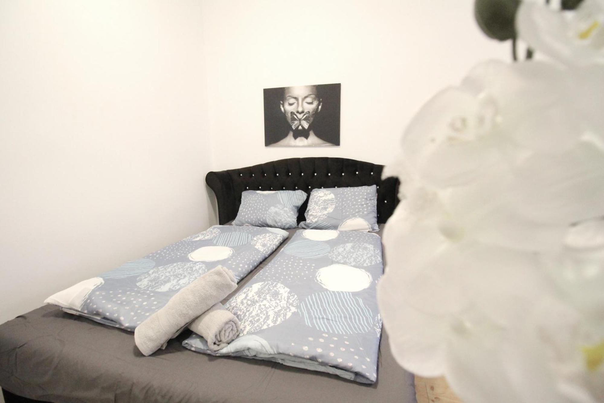 Comfort Apartment Hg فيينا المظهر الخارجي الصورة